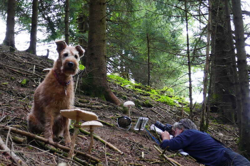 Robert Hofrichter bei der Feldarbeit